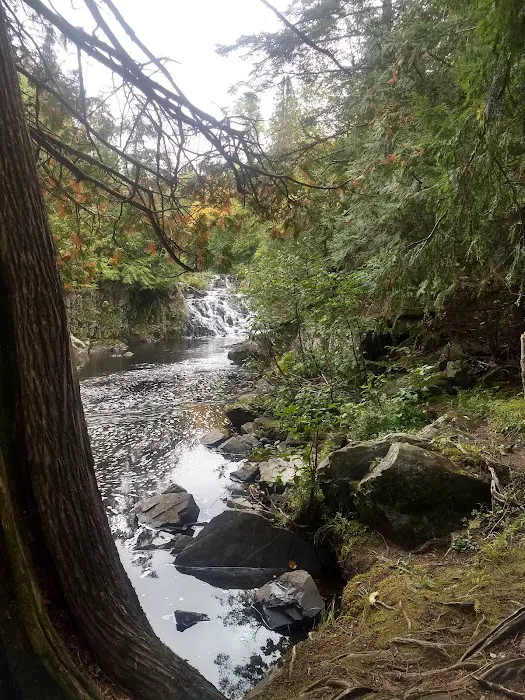Upson Falls campground 4