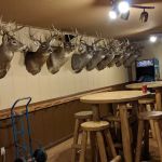 Frontier Bar & Campground