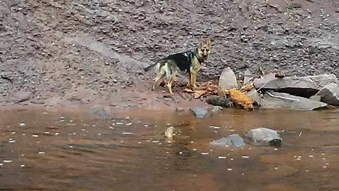 Potato River Falls Campground 9