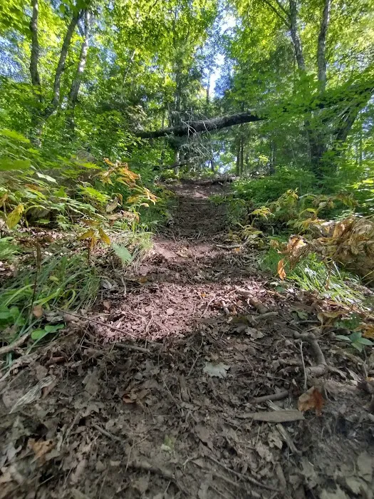 Potato River Falls Campground 3