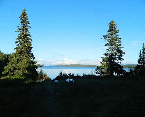 Belle Isle Campground