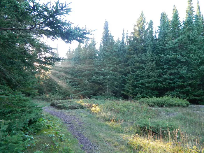 Belle Isle Campground 1