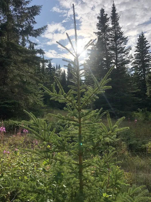 Belle Isle Campground 8