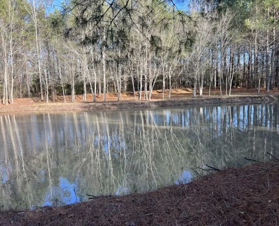Cedar Creek Campground at Elease