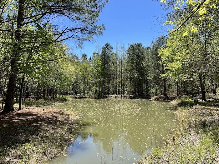 Cedar Creek Campground at Elease 2