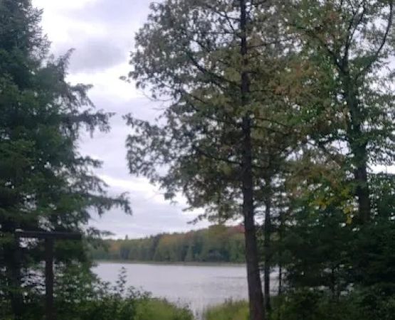 Bucktail Camp, Kisatche National Forest