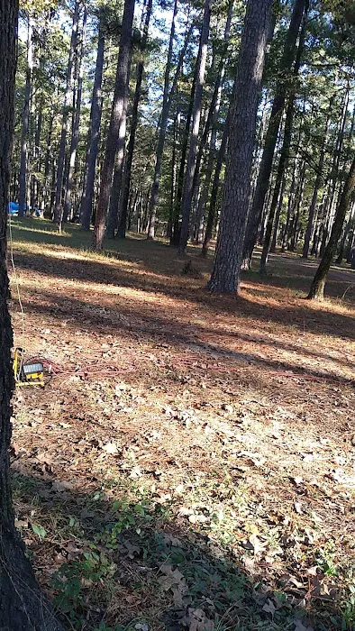 Bucktail Camp, Kisatche National Forest 2