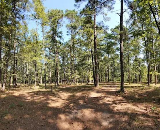 TurkeyTrot Campground