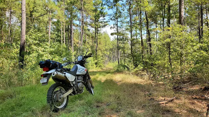 TurkeyTrot Campground 4
