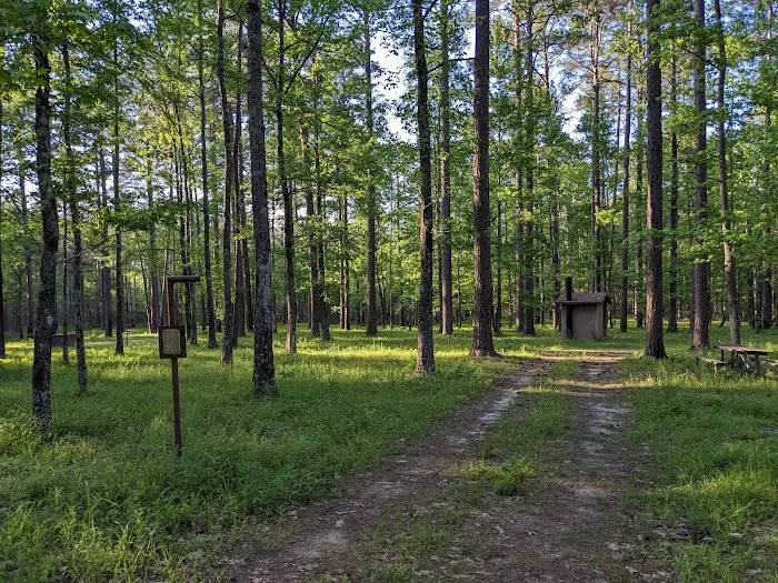 TurkeyTrot Campground 7