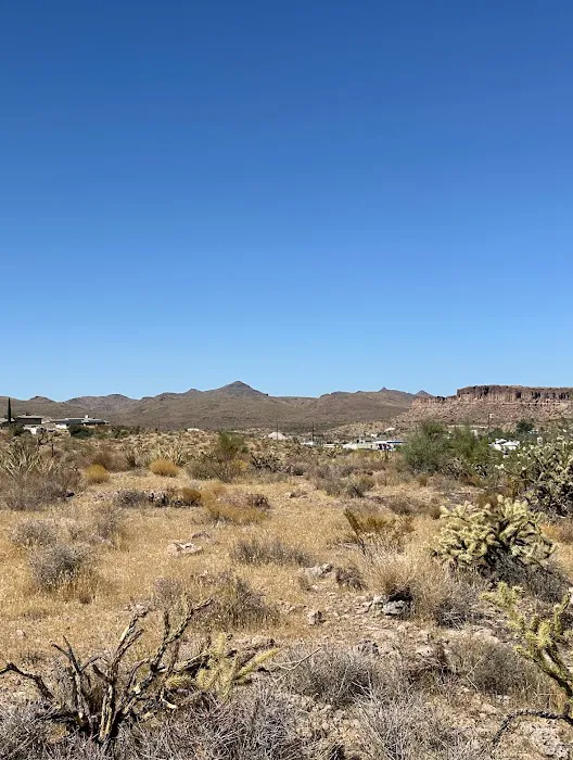 Carl’s Camp 2