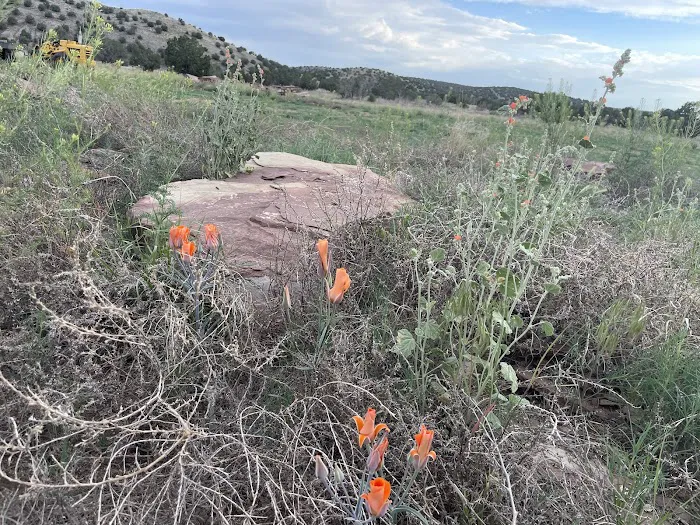 Crozier Ranch 3