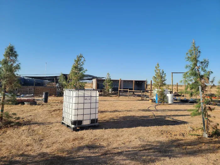 Fluffys Ranch 6