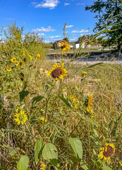 Oregon Trail Glamping and RV Park Hiawatha, KS 5