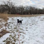 Sac County Conservation Board