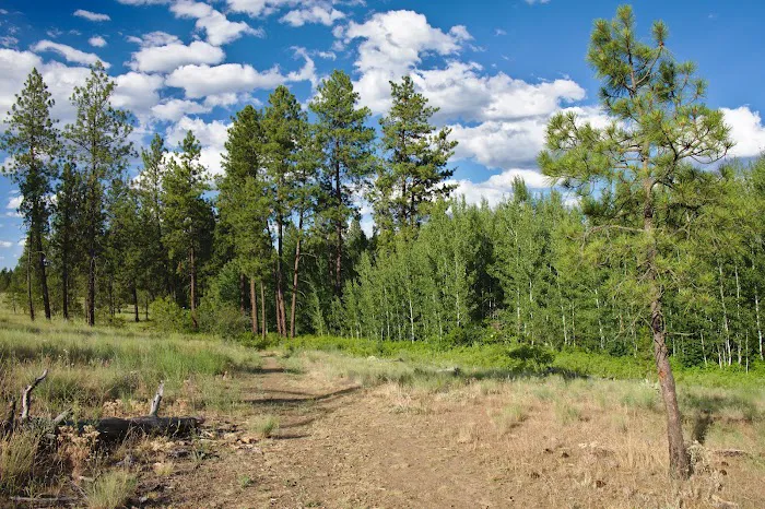 Fishtrap Recreation Area 7