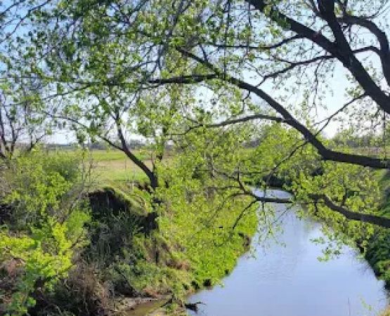Victor Park Campground