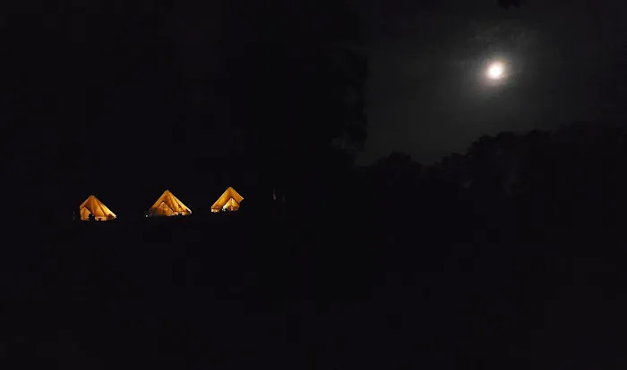 The Sycamore Glampground 3