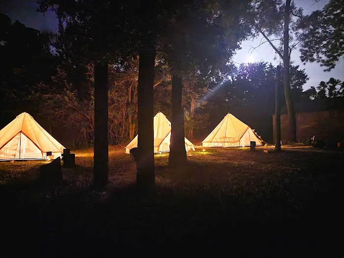 The Sycamore Glampground 7