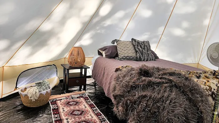 The Sycamore Glampground 1