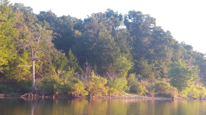 Buckhorn Campground Loop B 5