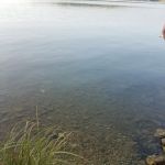 Buckhorn Campground Loop B