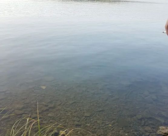 Buckhorn Campground Loop B