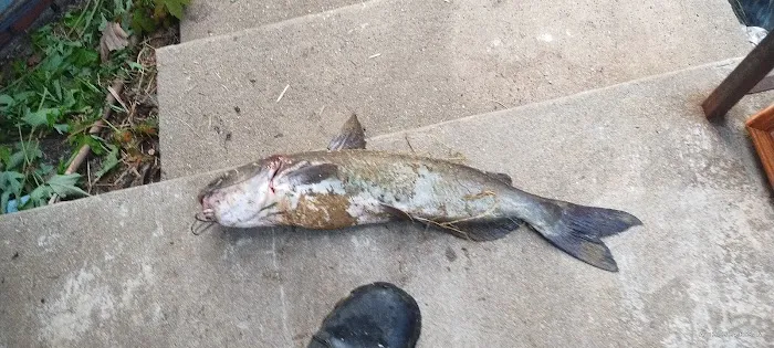 Edna Lake 0