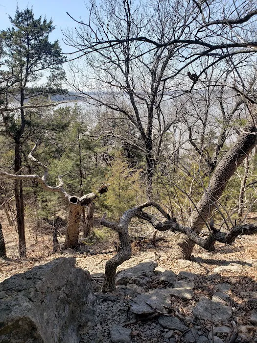 Comfort Cove Campground 7