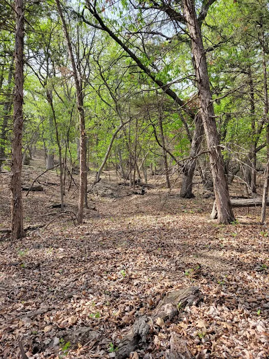 Comfort Cove Campground 1