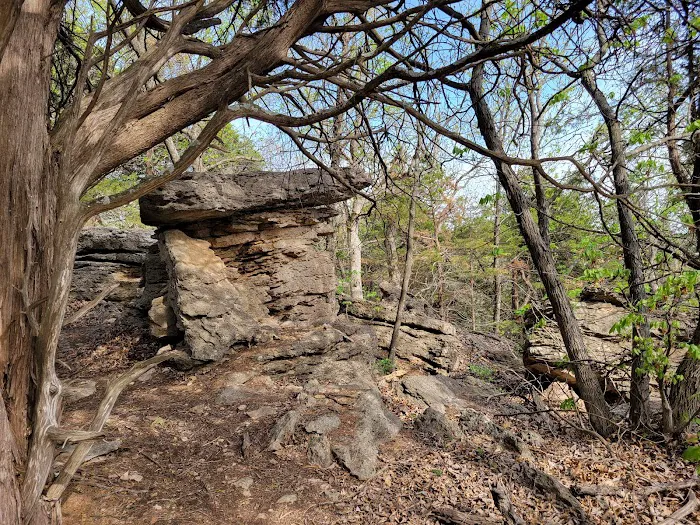 Comfort Cove Campground 2