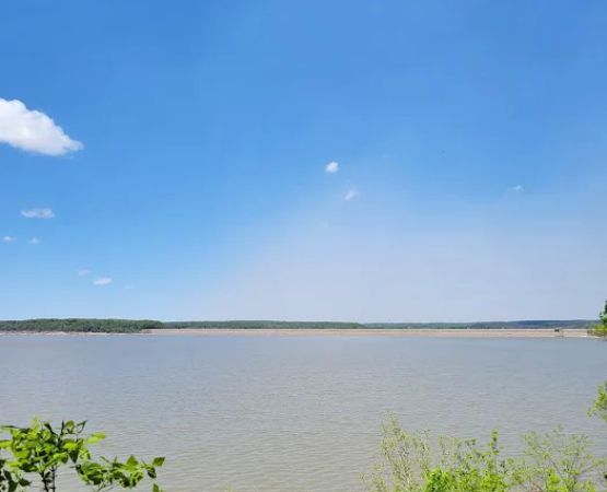 Comfort Cove Campground