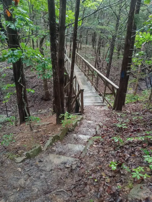 Comfort Cove Campground 9