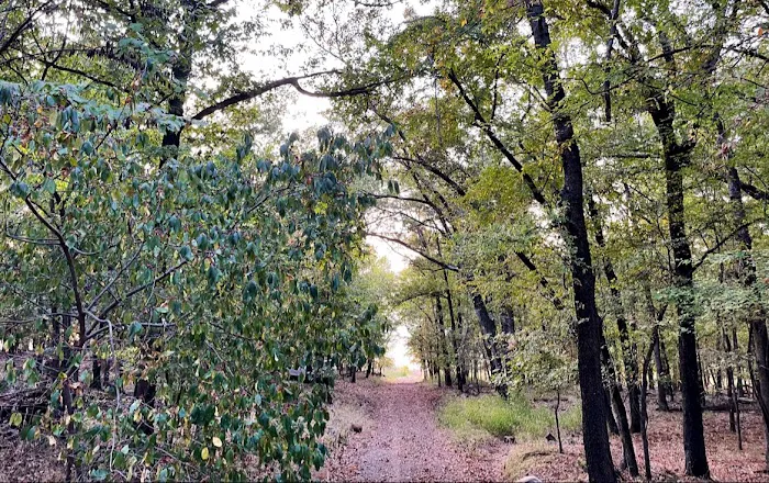 Camp Restoration Point 7