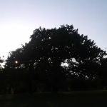 US Army Corps of Engineers