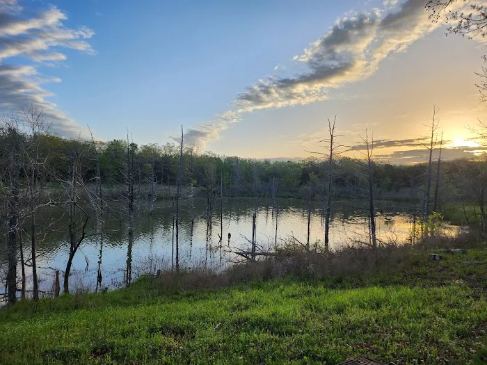 Potato Hills Central Campground 3