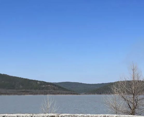 SARDIS COVE