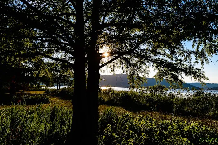 SARDIS COVE 5