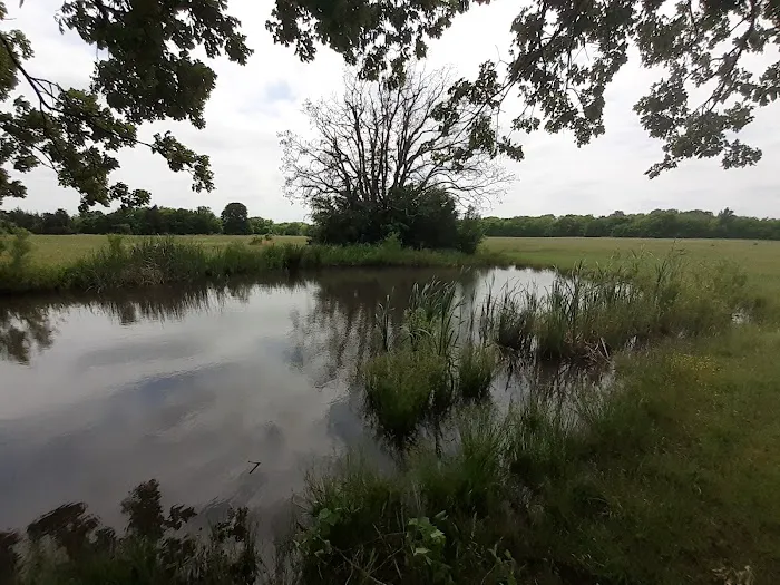 Lake Durant Campground 5