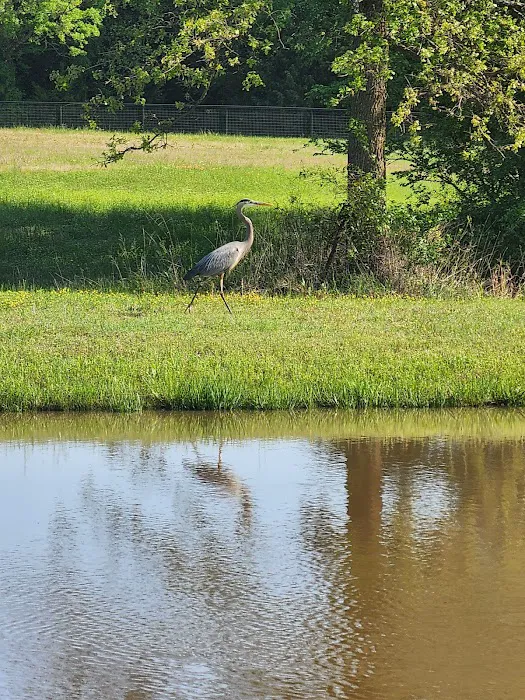 Coyote Creek RV 3