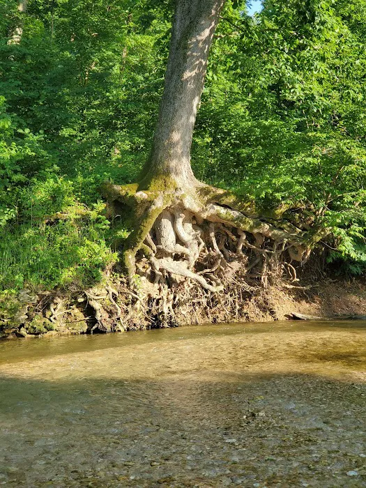 Whippoorwill Camp Ground 1