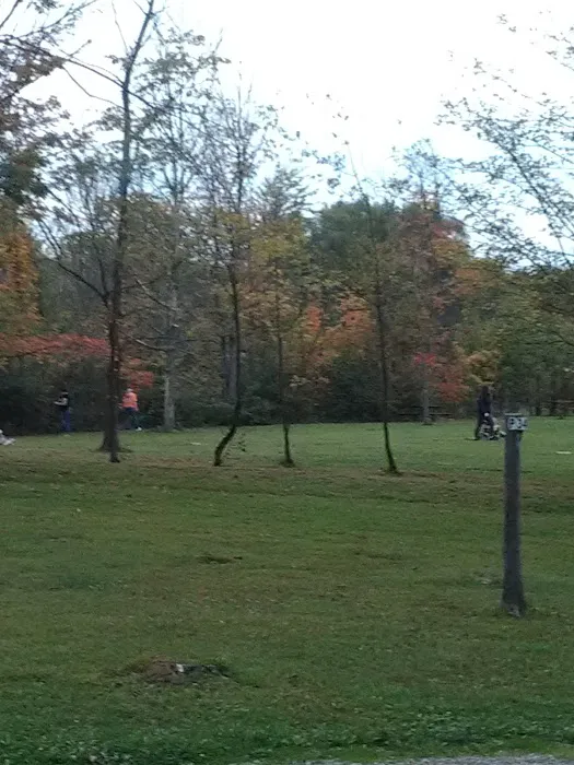 Ohio State Eagles Campground 4