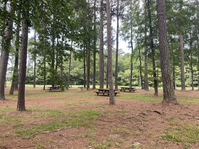 Seymour Johnson AFB Campground 4