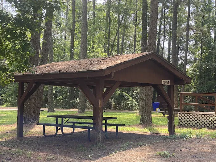 Seymour Johnson AFB Campground 6