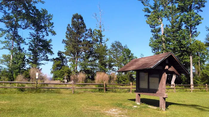 Neuse River Recreation Area 1
