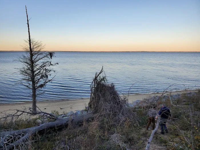 Neuse River Recreation Area 2