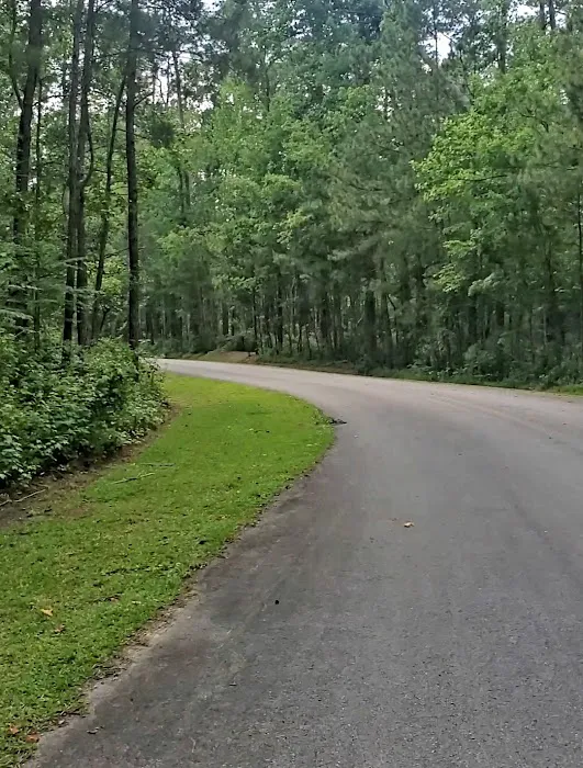 Neuse River Recreation Area 9