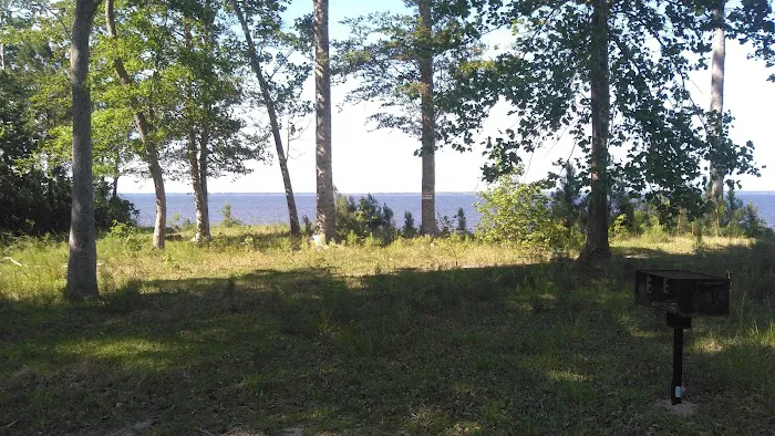 Neuse River Recreation Area 0