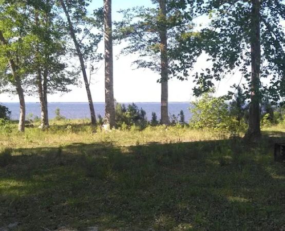 Neuse River Recreation Area