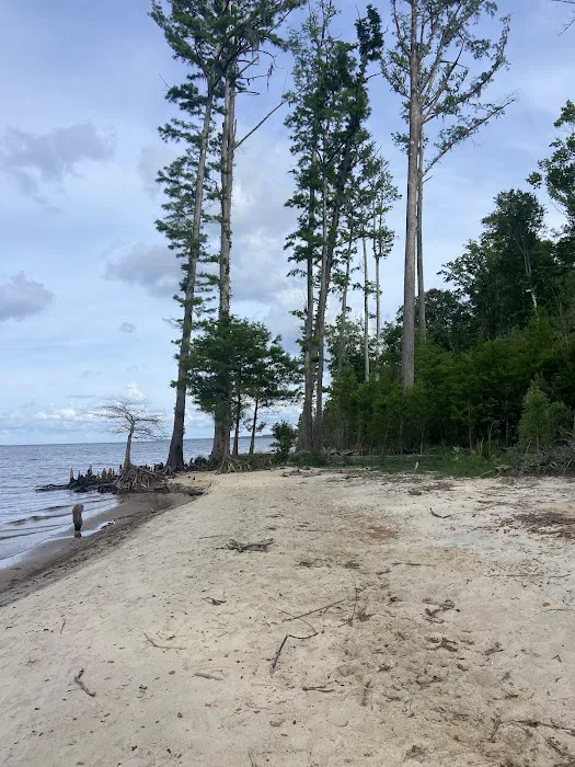 Flanners Beach Campground 7